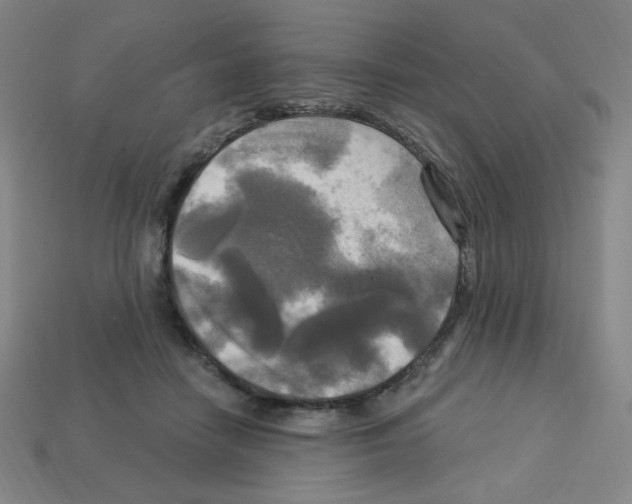 X0000113050458200910081235
