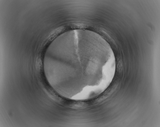 X0000113050459200910081235
