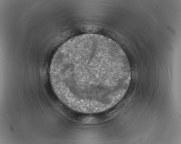 X0000113050460200910081235