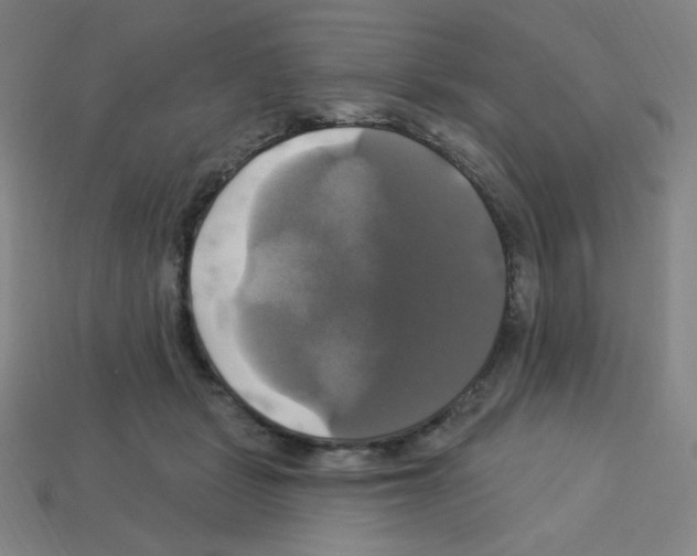 X0000113050461200910081235