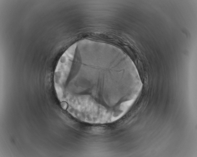 X0000113050462200910081235