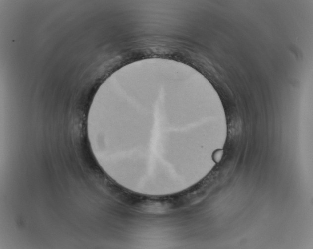 X0000113050464200910081235