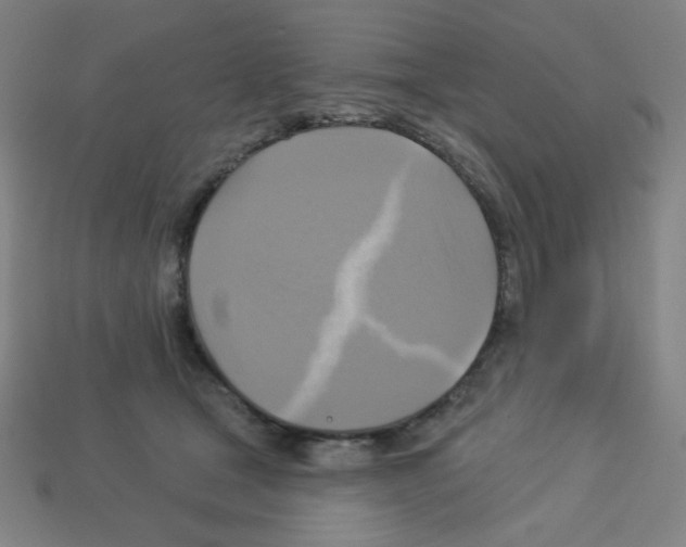 X0000113050465200910081235
