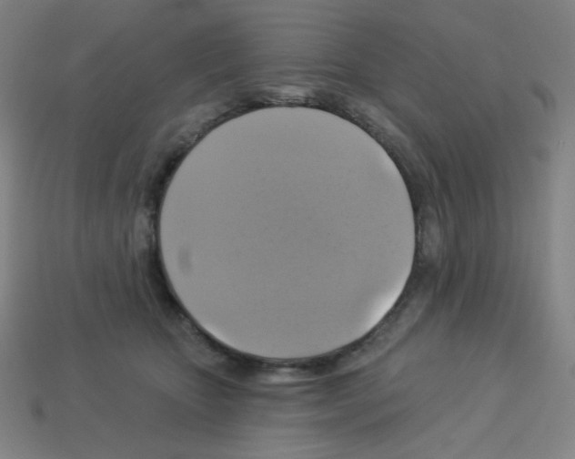 X0000113050467200910081235