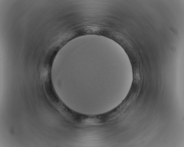 X0000113050468200910081235