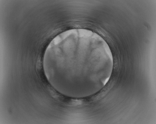 X0000113050469200910081235