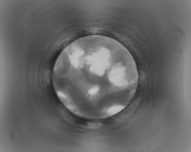 X0000113050470200910081235