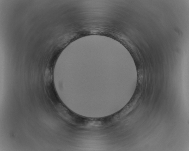 X0000113050471200910081235