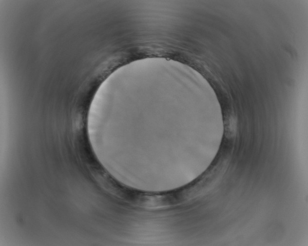 X0000113050472200910081235