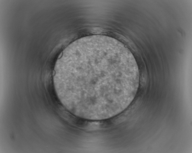 X0000113050473200910081235