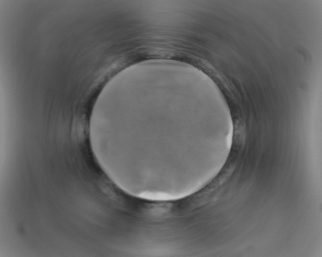 X0000113050474200910081235