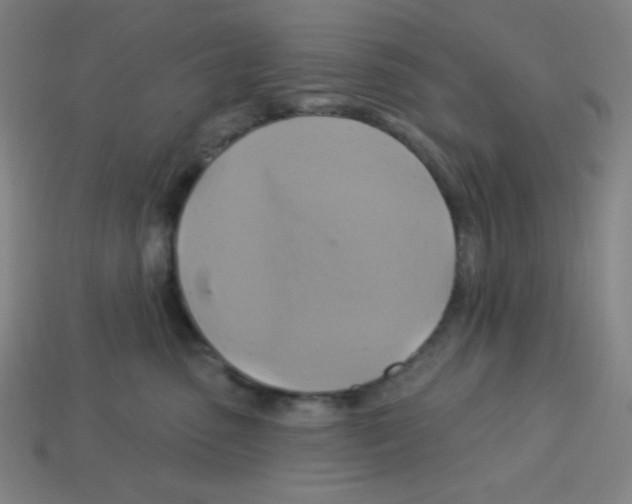X0000113050475200910081235