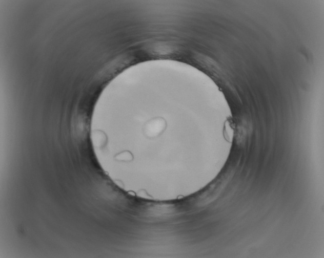 X0000113050476200910081235