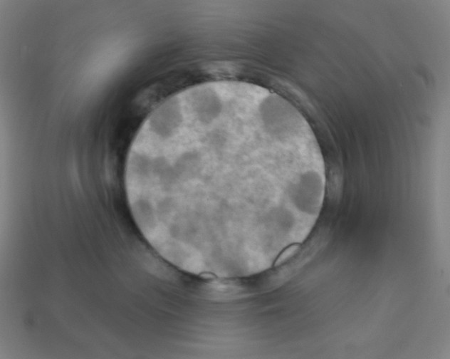 X0000113050477200910081235