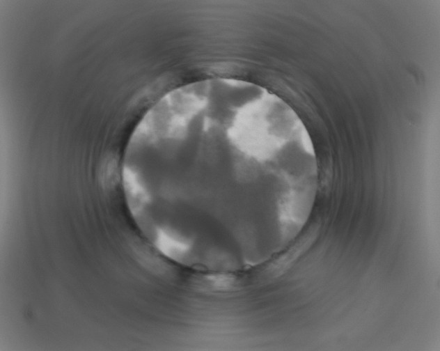 X0000113050478200910081235