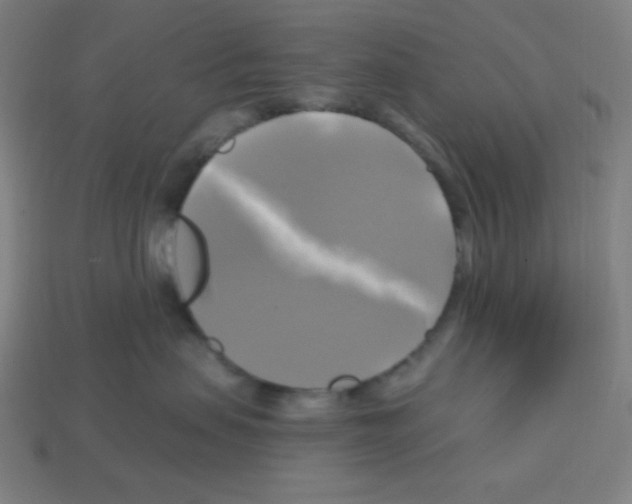 X0000113050479200910081235