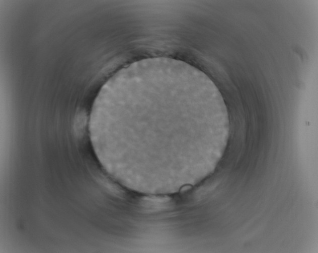 X0000113050480200910081235