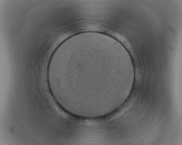 X0000113050481200910081234