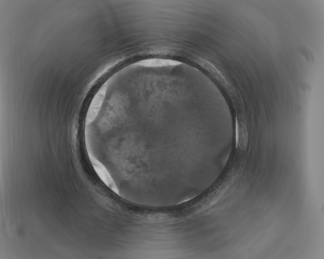 X0000113050483200910081234