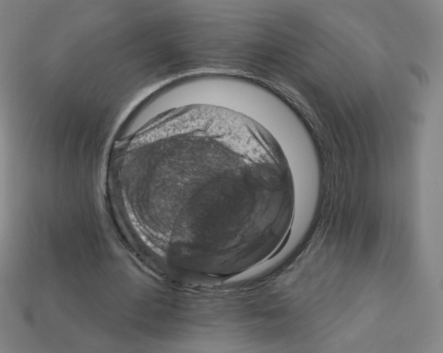 X0000113050484200910081234