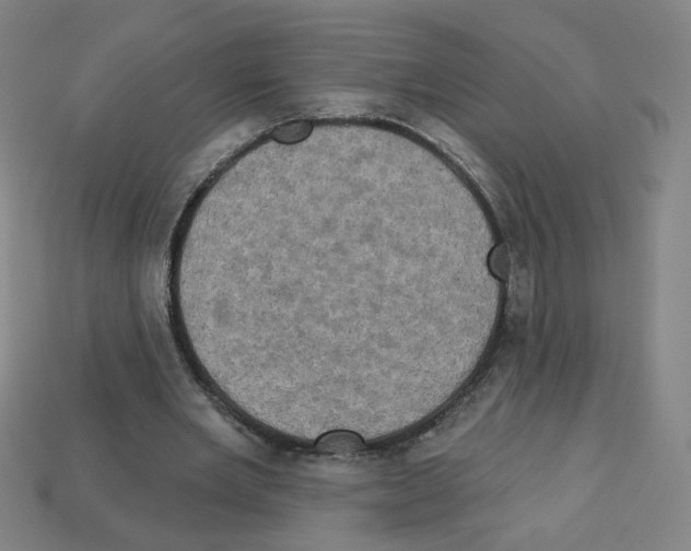 X0000113050485200910081234