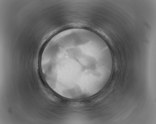 X0000113050486200910081234
