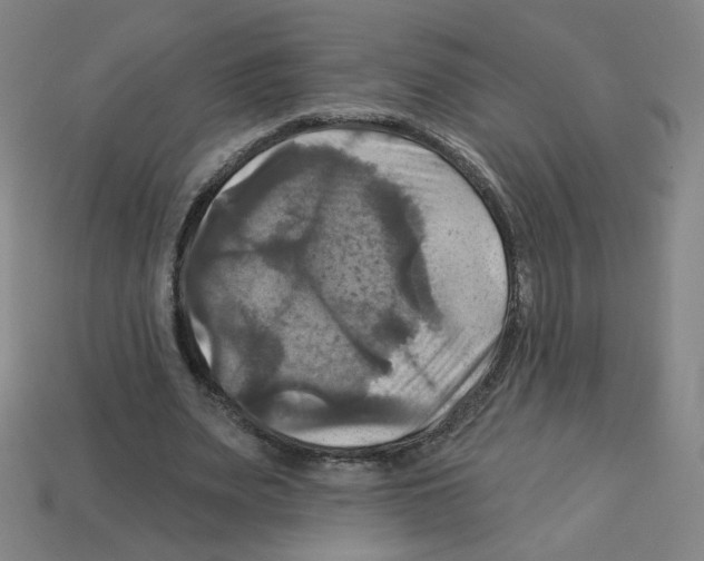 X0000113050487200910081234