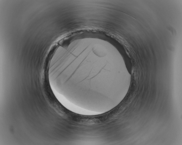 X0000113050488200910081234