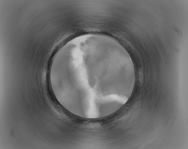 X0000113050491200910081234