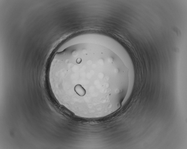 X0000113050492200910081234