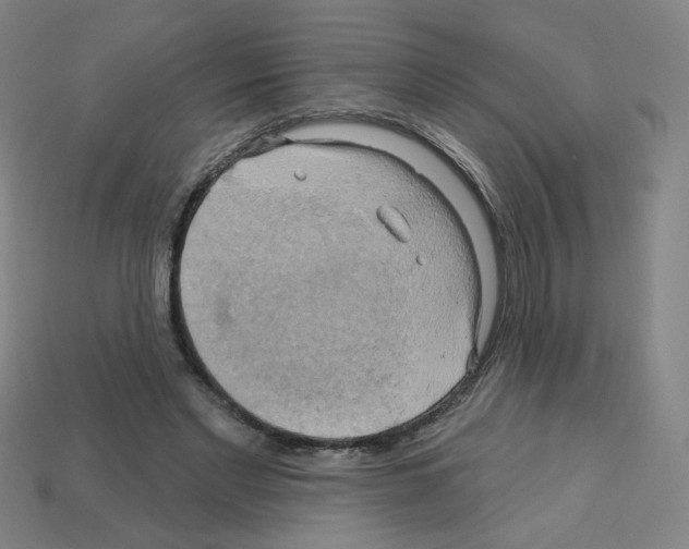 X0000113050493200910081234