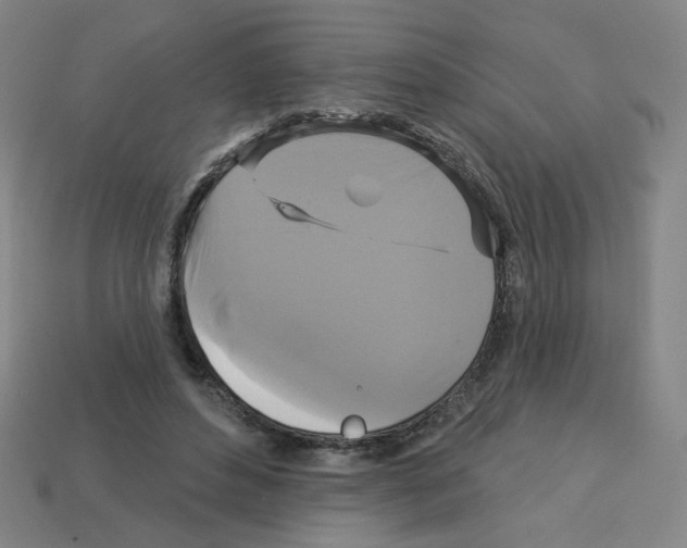 X0000113050496200910081234