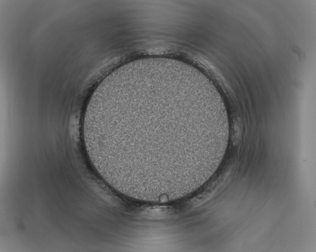 X0000113050497200910081234