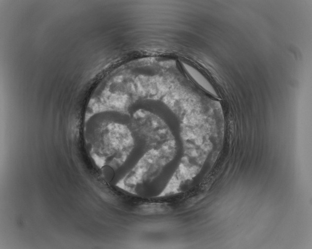 X0000113050499200910081234
