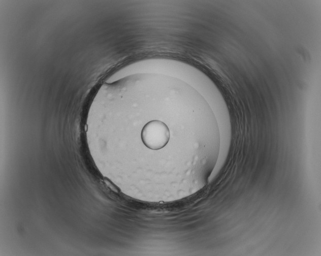 X0000113050500200910081234