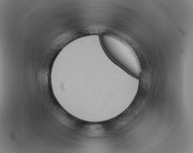 X0000113050501200910081234