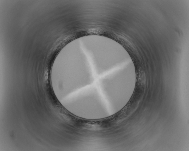 X0000113050502200910081234