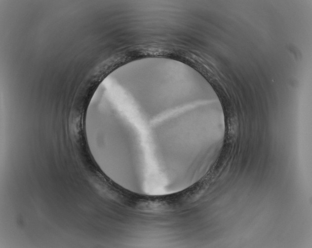X0000113050503200910081234