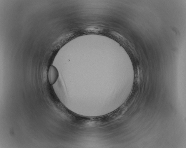 X0000113050504200910081234