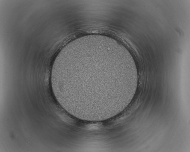X0000113050505200910081234