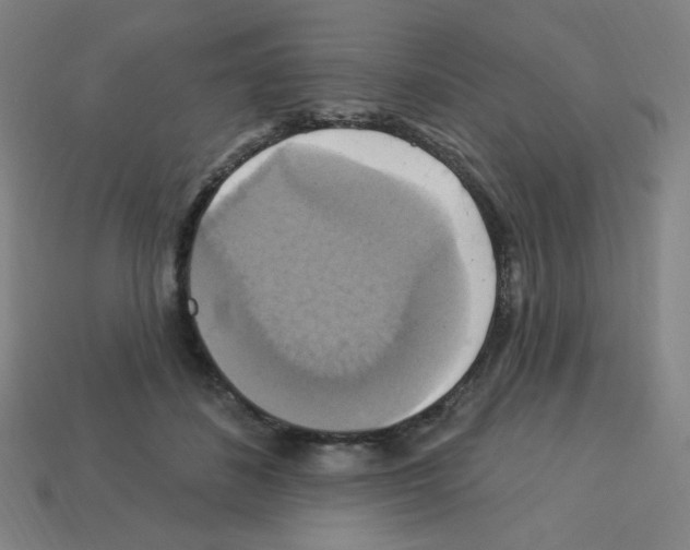 X0000113050508200910081234