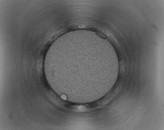 X0000113050509200910081234