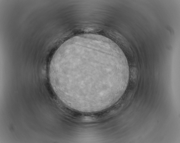 X0000113050510200910081234
