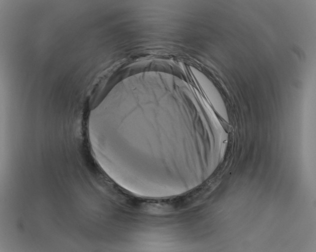 X0000113050512200910081234