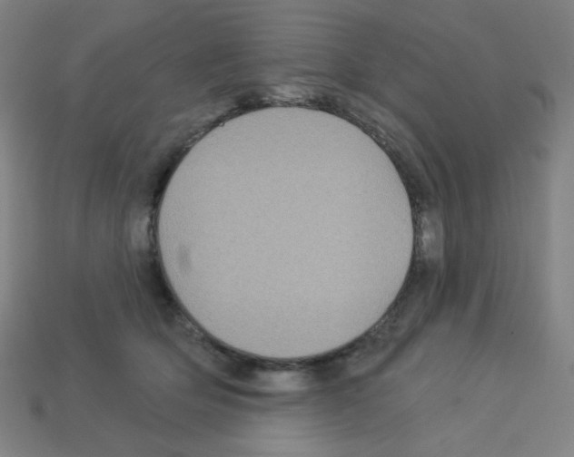 X0000113050514200910081234