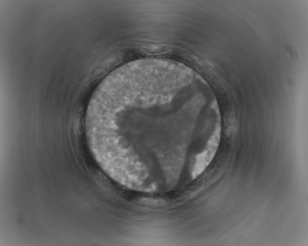 X0000113050515200910081234