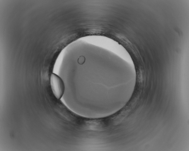 X0000113050516200910081234