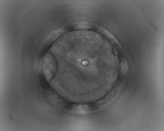 X0000113050517200910081234