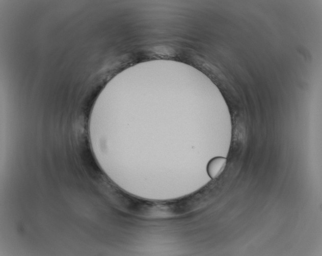 X0000113050518200910081234