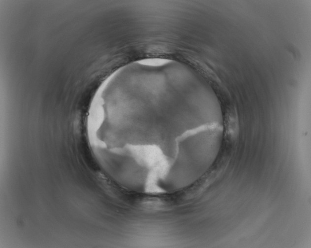 X0000113050519200910081234